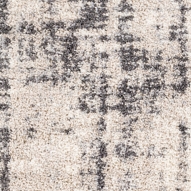 Surya Eskimo Shag Esg-2306 Beige, Cream, Charcoal, Light Gray Rugs.