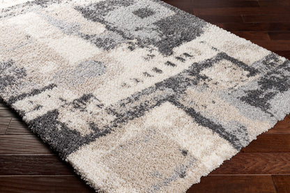 Surya Eskimo Shag Esg-2308 Charcoal, Light Gray, Beige, Cream Area Rug