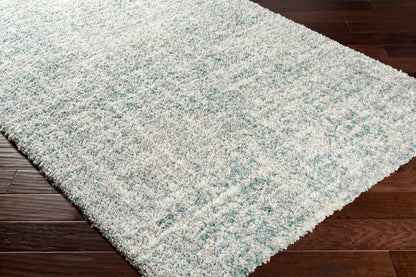 Surya Eskimo Shag Esg-2310 Aqua, Light Gray, Taupe, Cream Area Rug