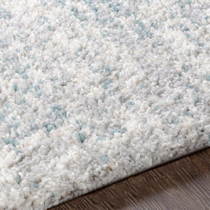 Surya Eskimo Shag Esg-2310 Aqua, Light Gray, Taupe, Cream Area Rug