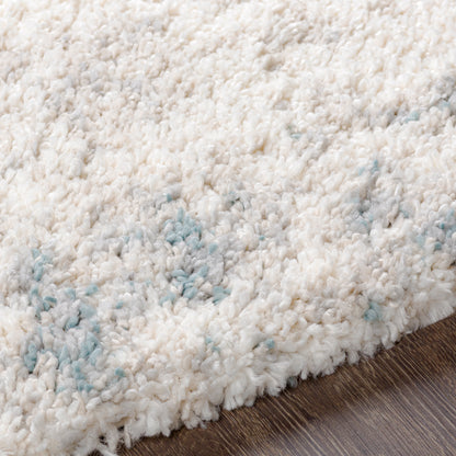 Surya Eskimo Shag Esg-2312 Aqua, Taupe, Light Gray, Cream Area Rug