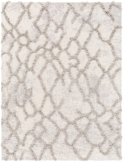 Surya Everton Etn-2303 Gray, Light Gray, White Area Rug