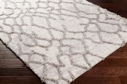 Surya Everton Etn-2303 Gray, Light Gray, White Area Rug