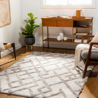 Surya Everton Etn-2304 Gray, Light Gray, White Area Rug