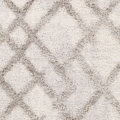 Surya Everton Etn-2304 Gray, Light Gray, White Area Rug