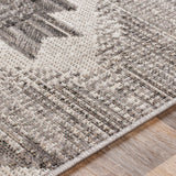 Surya Rafetus Ets-2335 Charcoal, Light Gray, Black, White Rugs.