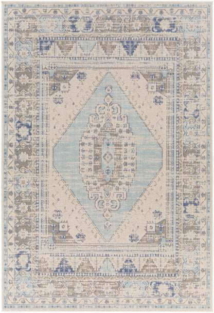 Surya Rafetus Ets-2370 Beige Area Rug