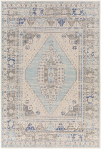 Surya Rafetus Ets-2370 Beige Area Rug