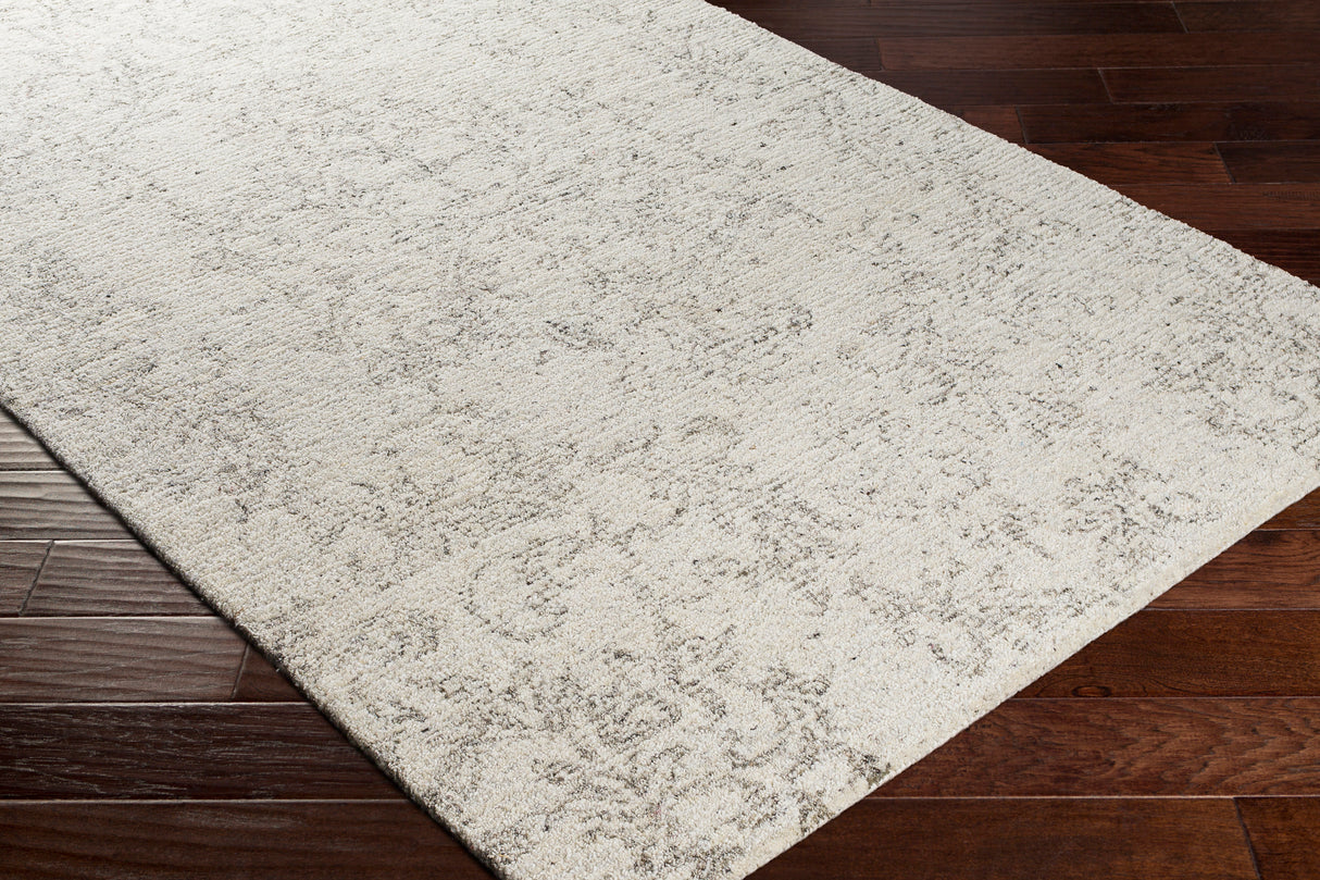 Surya Evolution Evl-2301 Medium Gray, Charcoal, Beige, Cream Rugs.