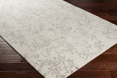 Surya Evolution Evl-2301 Medium Gray, Charcoal, Beige, Cream Rugs.