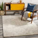 Surya Evolution Evl-2301 Medium Gray, Charcoal, Beige, Cream Rugs.
