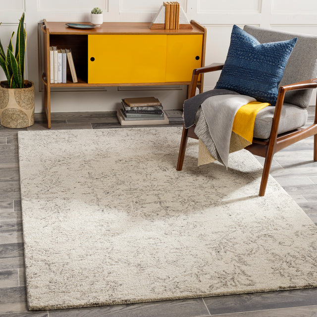 Surya Evolution Evl-2301 Medium Gray, Charcoal, Beige, Cream Rugs.