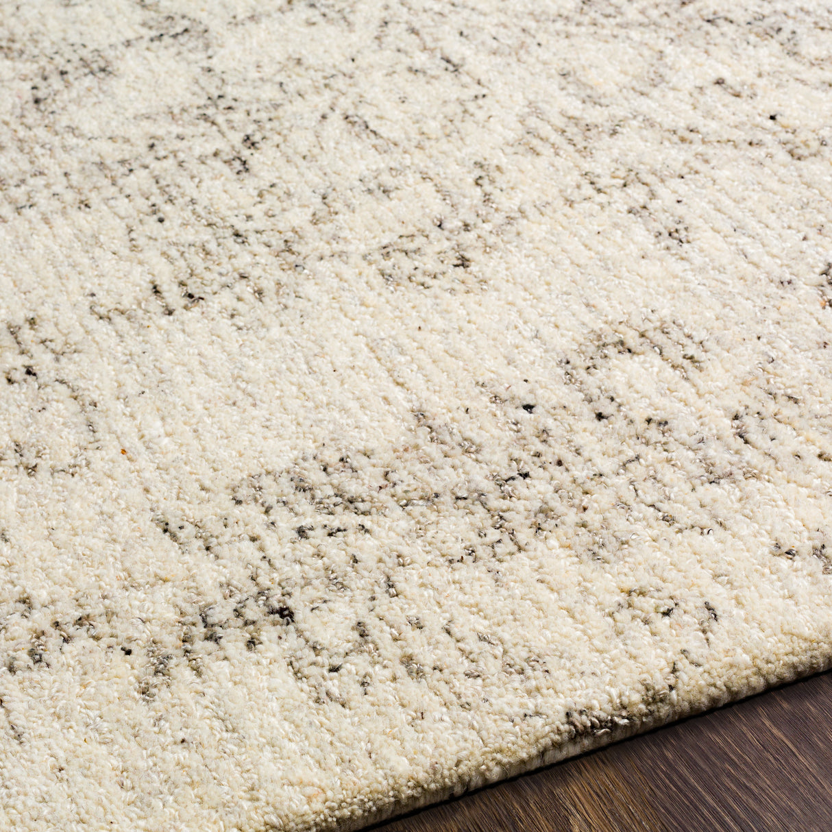 Surya Evolution Evl-2301 Medium Gray, Charcoal, Beige, Cream Rugs.