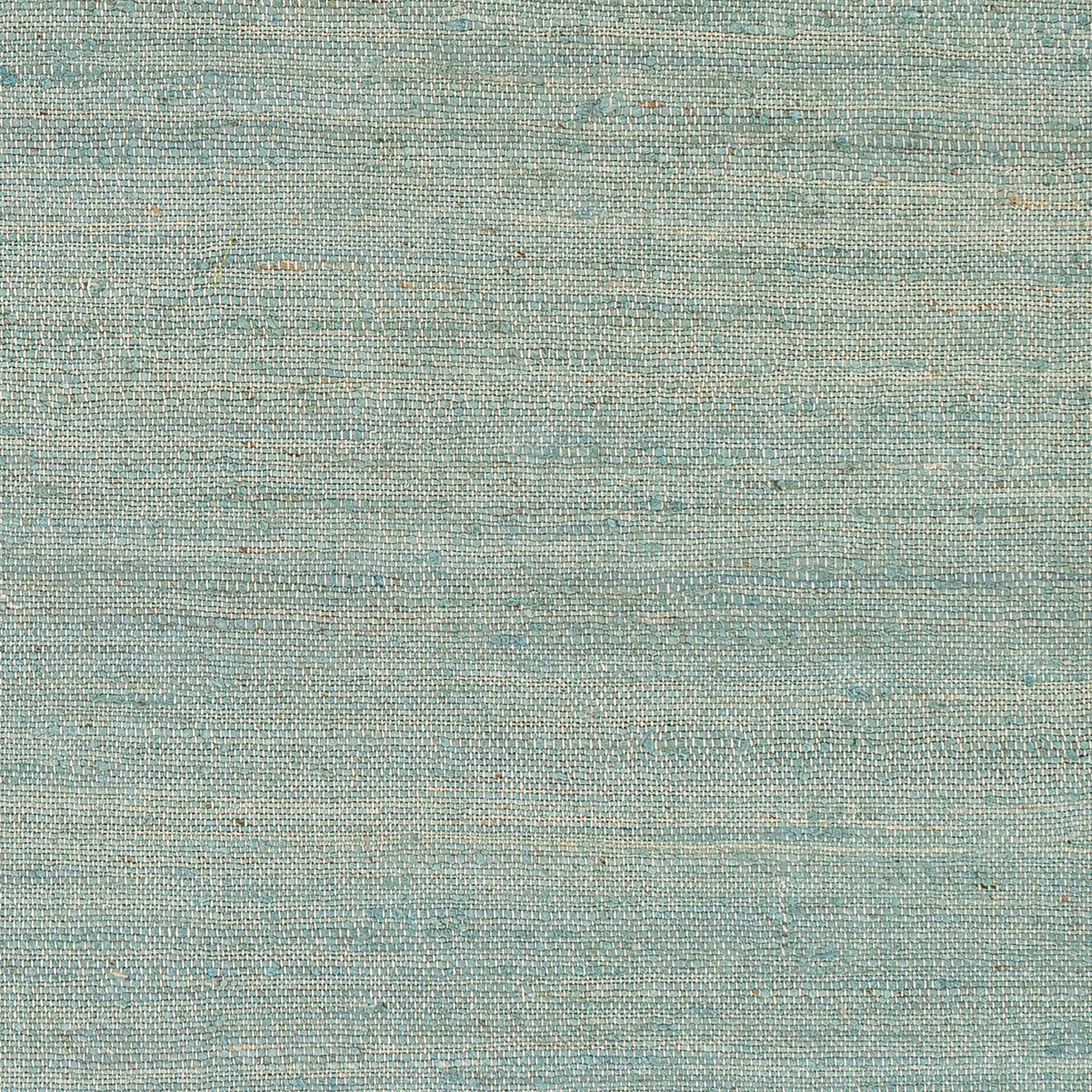 Surya Evora Evo-2302 Sage, Teal, Aqua Area Rug