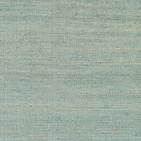 Surya Evora Evo-2302 Sage, Teal, Aqua Area Rug