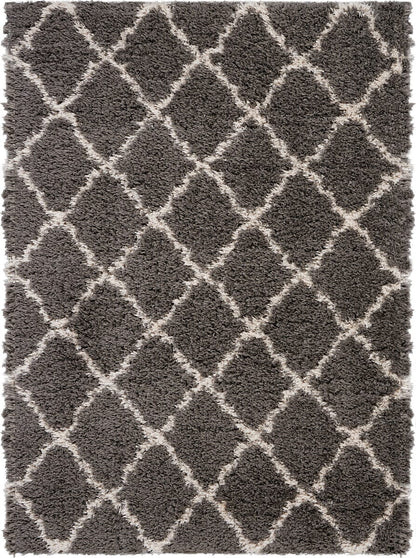 Nourison Luxe Shag Lxs02 Dark Grey Shag Area Rug