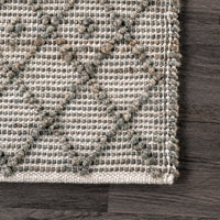 Nuloom Athena Trellis Nat3308A Dark Gray Area Rug