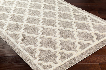 Surya Florida Fld-2301 Grey Area Rug