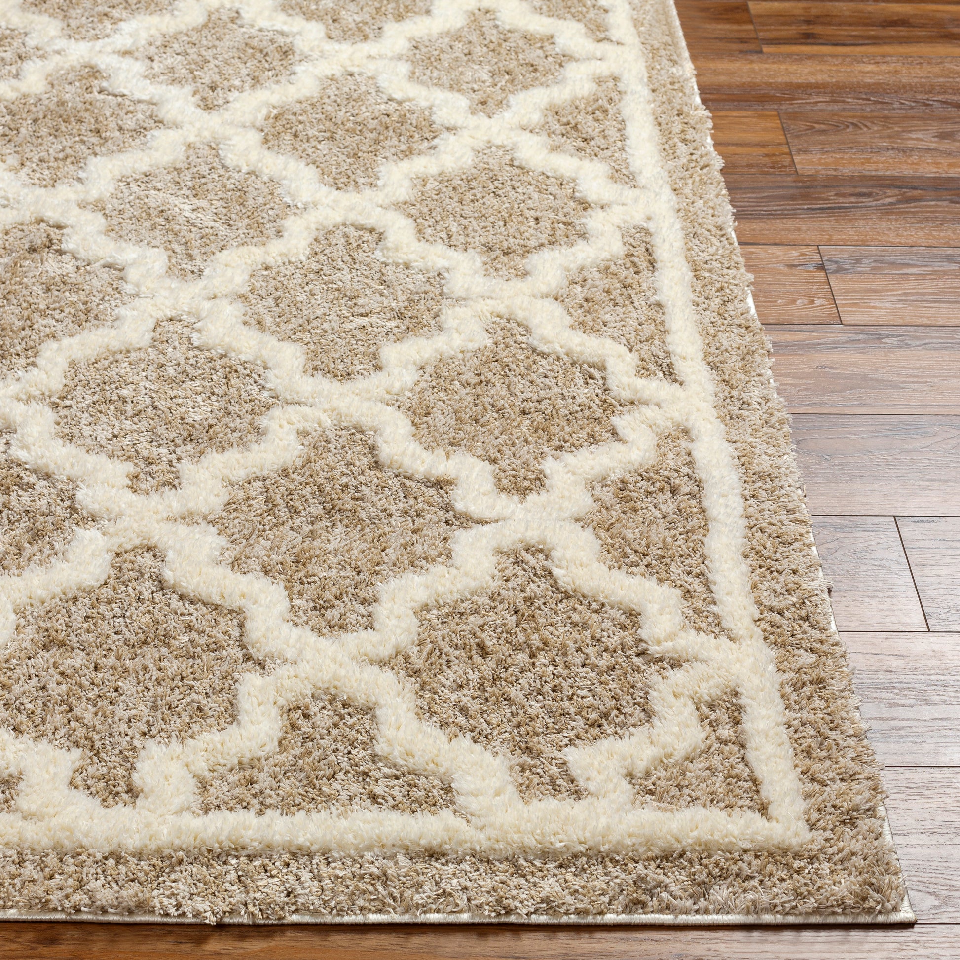 Surya Florida Fld-2302 Brown Area Rug