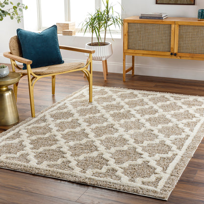 Surya Florida Fld-2302 Brown Area Rug