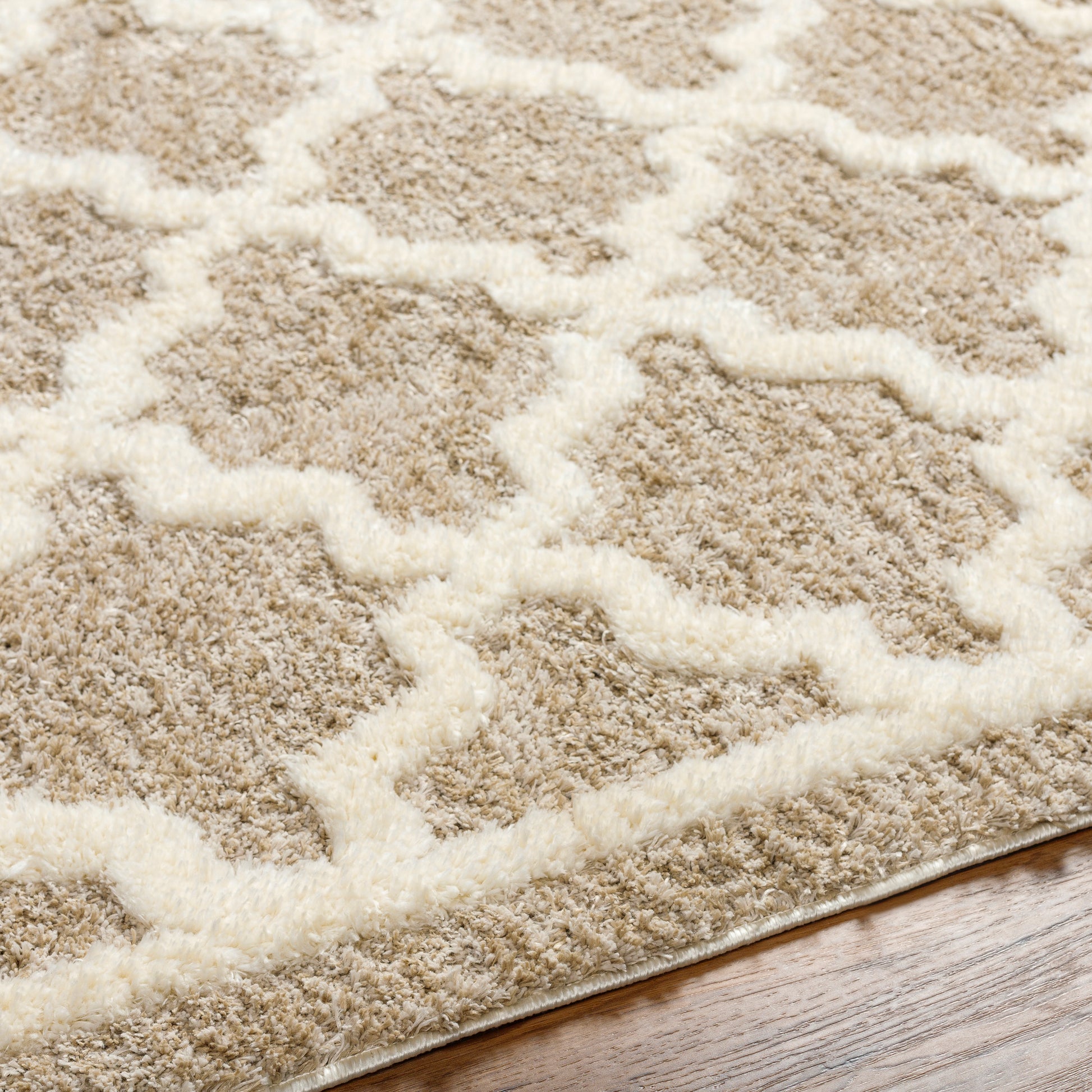 Surya Florida Fld-2302 Brown Area Rug