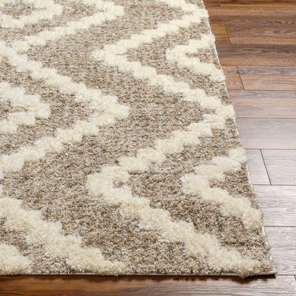 Surya Florida Fld-2303 Brown Area Rug