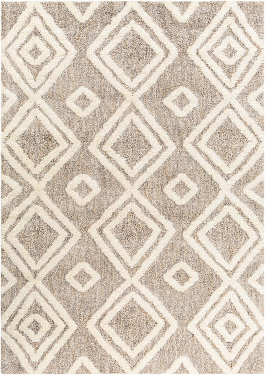 Surya Florida Fld-2307 Brown Area Rug