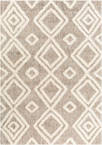 Surya Florida Fld-2307 Brown Area Rug