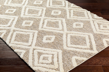 Surya Florida Fld-2307 Brown Area Rug