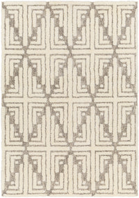 Surya Florida Fld-2309 Beige Area Rug