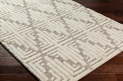 Surya Florida Fld-2309 Beige Area Rug