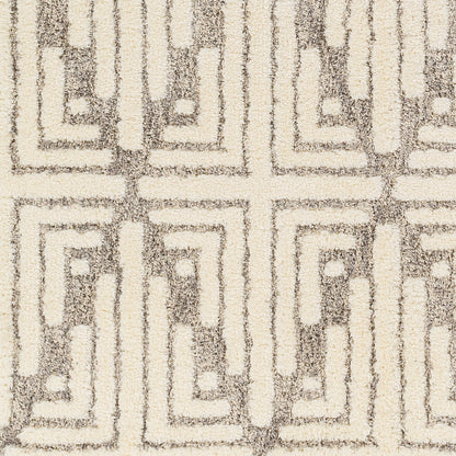 Surya Florida Fld-2309 Beige Area Rug