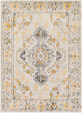 Surya Floransa Fsa-2311 Beige, Silver Gray, Medium Gray, Navy Rugs.