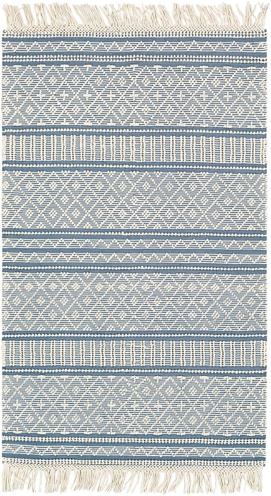 Surya Farmhouse Tassels Fts-2301 Denim, White Moroccan Area Rug