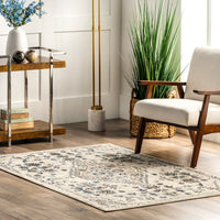 Nuloom Leahy Bohemian Floral Distressed Nle1399A Gray Area Rug