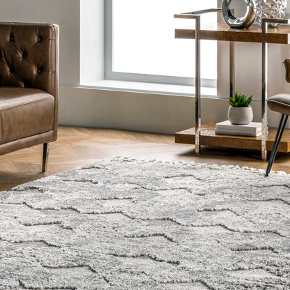 Nuloom Agata Textured Nag2338B Light Gray Area Rug