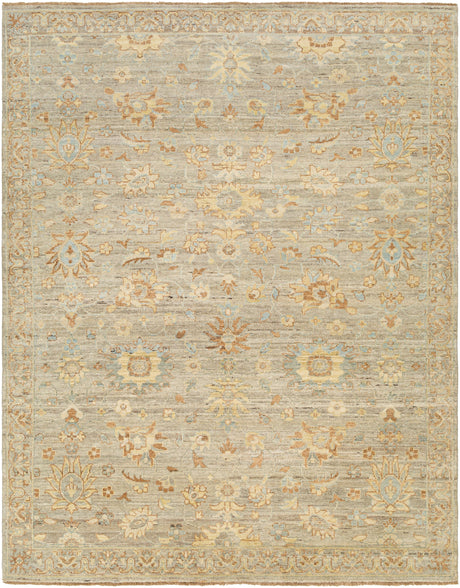 Surya Ghazni Ghz-2302 Brown Rug.