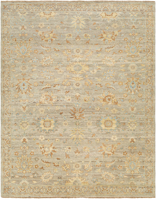 Surya Ghazni Ghz-2302 Brown Rug.