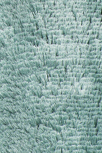 Chandra Giulia Giu-27808 Green Shag Area Rug