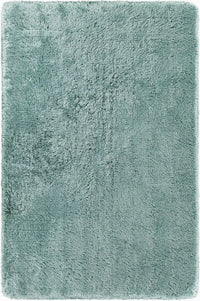 Chandra Giulia Giu-27808 Green Shag Area Rug