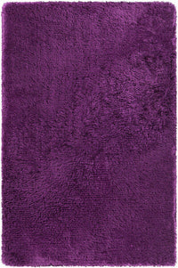 Chandra Giulia Giu-27810 Purple Shag Area Rug