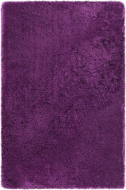 Chandra Giulia Giu-27810 Purple Shag Area Rug