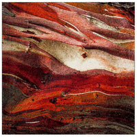 Safavieh Glacier Gla126A Red / Multi Organic / Abstract Area Rug