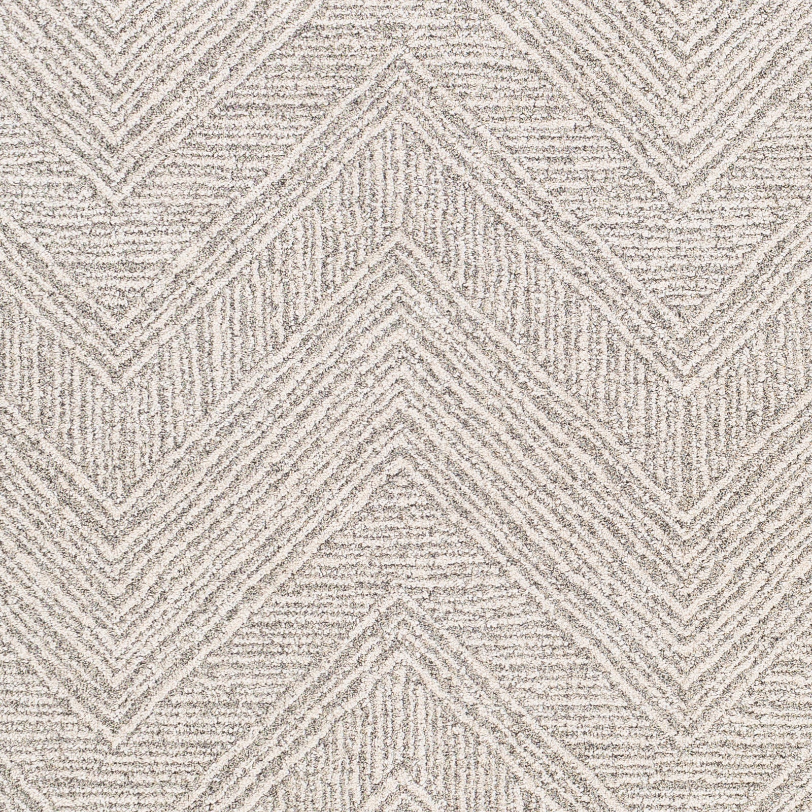 Surya Gavic Gvc-2300 Silver Gray, Beige, Charcoal Area Rug