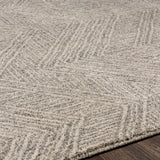 Surya Gavic Gvc-2300 Silver Gray, Beige, Charcoal Rugs.