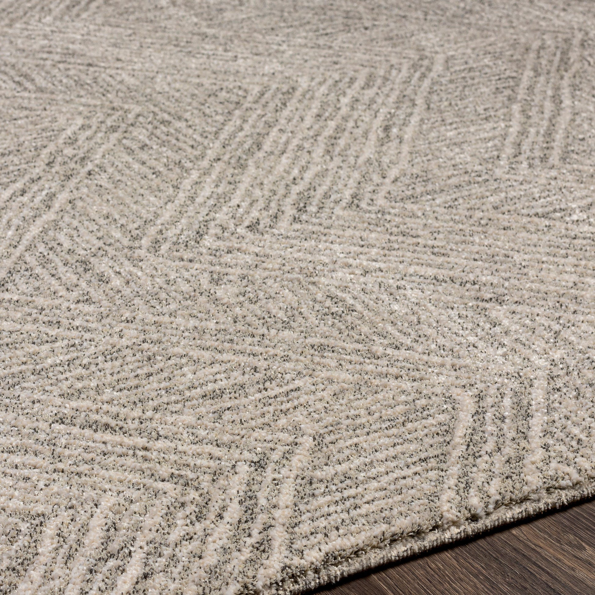 Surya Gavic Gvc-2300 Silver Gray, Beige, Charcoal Area Rug