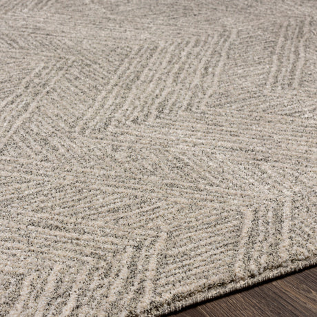 Surya Gavic Gvc-2300 Silver Gray, Beige, Charcoal Rugs.