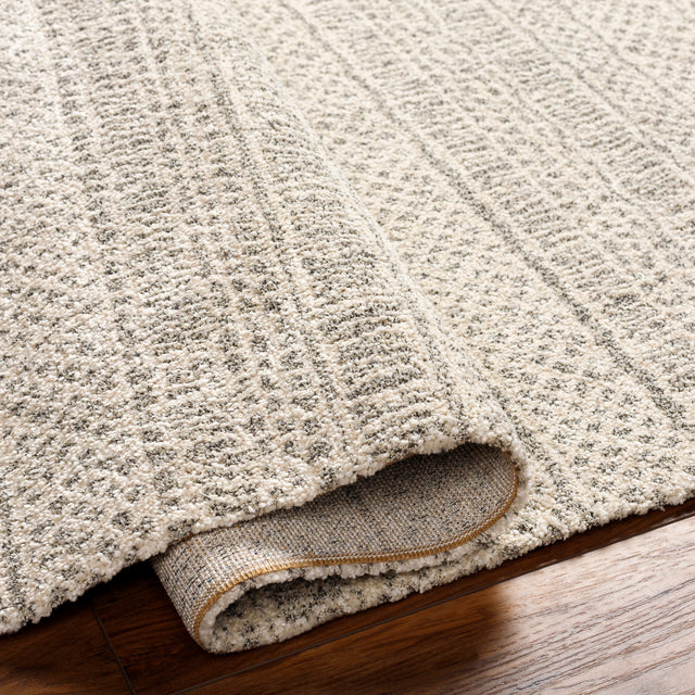 Surya Gavic Gvc-2312 Grey Rug.