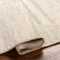 Surya Gavic Gvc-2320 Beige Area Rug