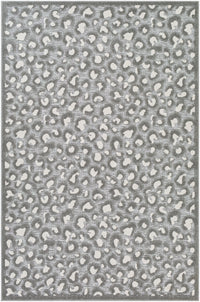 Surya Greenwich Gwc-2312 Medium Gray, Cream Area Rug